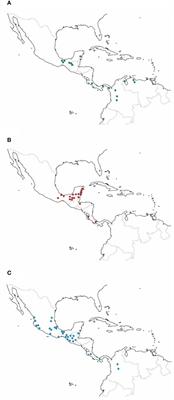 The relationships between dung beetles and monkeys in the Neotropical region
